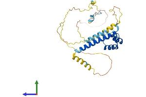 Protein Structure (PS) image for Ladybird Homeobox 1 (Lbx1) (AA 1-282) protein (His tag) (ABIN7563427)
