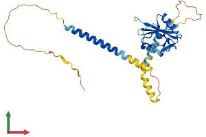 Protein Structure (PS) image for Killer Cell Lectin-Like Receptor, Subfamily A, Member 7 (Klra7) (AA 1-280) protein (His tag) (ABIN7557589)