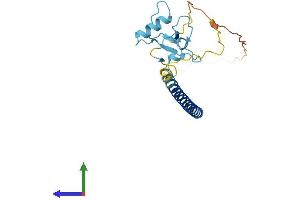 AlphaFold protein structure predicition of Mouse Recombinant Thap1 Protein, UniprotID Q8CHW1