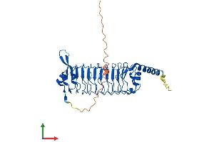 Protein Structure (PS) image for Leucine Rich Repeat Containing 23 (LRRC23) (AA 1-343) protein (His tag) (ABIN7549108)