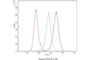 Flow cytometry testing of human U-251 MG cells with Dynamin 1 antibody at 1ug/10^6 cells (blocked with goat sera)
