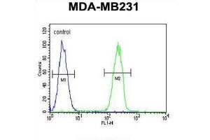 Flow Cytometry (FACS) image for anti-Caspase 5, Apoptosis-Related Cysteine Peptidase (CASP5) antibody (ABIN2995932)