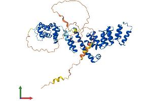 Protein Structure (PS) image for VPS33B Interacting Protein, Apical-Basolateral Polarity Regulator (VIPAR) (AA 1-493) protein (His tag) (ABIN7555550)