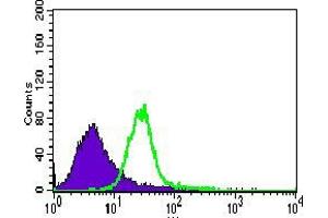 Flow cytometric analysis of HeLa cells using TRAFD1 mouse mAb (green) and negative control (purple).