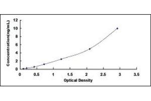 Typical standard curve (XPC ELISA 试剂盒)