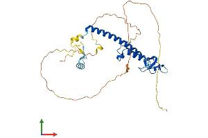 Protein Structure (PS) image for Rabphilin 3A-Like (Without C2 Domains) (RPH3AL) (AA 1-315) protein (His tag) (ABIN7551526)