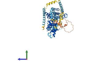 Protein Structure (PS) image for Suppression of Tumorigenicity 7 (ST7) (AA 1-585) protein (His tag) (ABIN7546475)