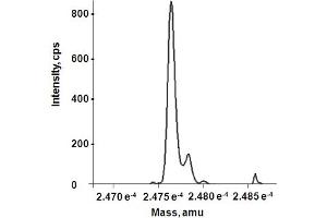 Reconstructed molecular weight from MS spectrum. (HMGB1 蛋白)