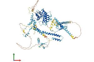Protein Structure (PS) image for FtsJ Homolog 3 (FTSJ3) (AA 1-847) protein (His tag) (ABIN7555548)