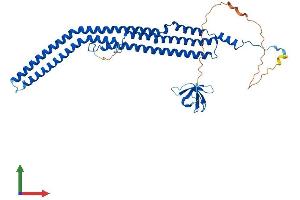 Protein Structure (PS) image for Protein Kinase C and Casein Kinase Substrate in Neurons 3 (PACSIN3) (AA 1-424) protein (His tag) (ABIN7560309)