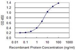 Detection limit for recombinant GST tagged SCYL3 is 0. (SCYL3 抗体  (AA 553-660))