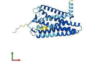 AlphaFold protein structure predicition of Human Recombinant OR5AN1 Protein, UniprotID Q8NGI8 (OR5AN1 Protein (AA 1-311) (His tag))