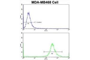 Flow Cytometry (FACS) image for anti-Galactose-1-Phosphate Uridylyltransferase (GALT) antibody (ABIN3002853) (GALT 抗体)