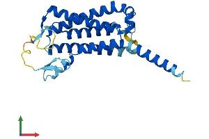 AlphaFold protein structure predicition of Mouse Recombinant Dolpp1 Protein, UniprotID Q9JMF7