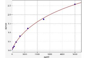 Typical standard curve (EPH Receptor A2 ELISA 试剂盒)