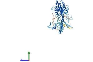Protein Structure (PS) image for Tripartite Motif Containing 23 (TRIM23) (AA 1-574) protein (His tag) (ABIN7544715)