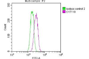 Overlay histogram showing Hela cells stained with ABIN7127811 (red line) at 1:50. (Recombinant SKP2 抗体)
