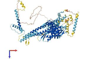 KIF9 Protein (AA 1-790) (His tag)