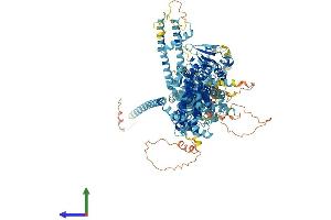 Protein Structure (PS) image for Transient Receptor Potential Cation Channel, Subfamily M, Member 4 (TRPM4) (AA 1-1214) protein (His tag) (ABIN7555868)