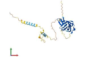 Protein Structure (PS) image for Nuclear Receptor Interacting Protein 3 (NRIP3) (AA 1-241) protein (His tag) (ABIN7549939)