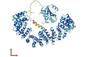Protein Structure (PS) image for Adaptor-Related Protein Complex 4, beta 1 Subunit (AP4B1) (AA 1-738) protein (His tag) (ABIN7556306)