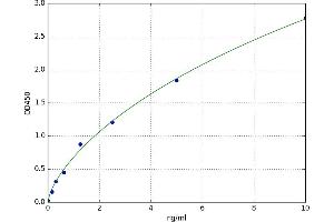 A typical standard curve (IFI16 ELISA 试剂盒)