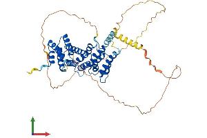 Protein Structure (PS) image for Ribosomal RNA Processing 1 Homolog A (RRP1) (AA 1-494) protein (His tag) (ABIN7556466)