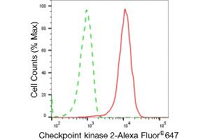 Flow cytometric analysis of Checkpoint kinase 2 expression in HepG2 cells using Checkpoint kinase 2 antibody (ABIN7798038), 1:2,000). (Recombinant CHEK2 抗体)