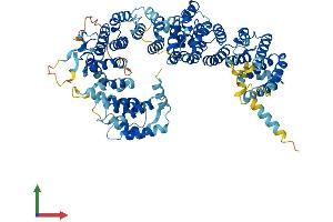 Protein Structure (PS) image for Adaptor-Related Protein Complex 5, zeta 1 Subunit (AP5Z1) (AA 1-807) protein (His tag) (ABIN7552257)