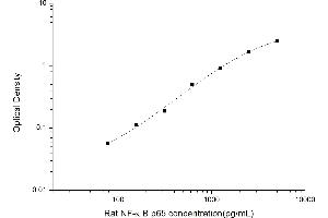 NF-kB p65 ELISA 试剂盒