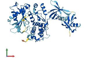 AlphaFold protein structure predicition of Mouse Recombinant Oasl2 Protein, UniprotID Q9Z2F2