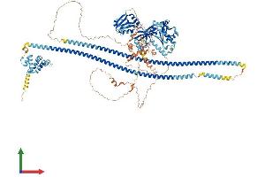 Protein Structure (PS) image for Caspase Recruitment Domain Family, Member 11 (CARD11) (AA 1-1159) protein (His tag) (ABIN7564599)