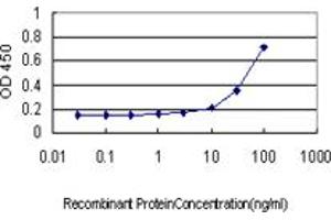 Detection limit for recombinant GST tagged CHEK2 is approximately 3ng/ml as a capture antibody.