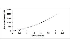 Typical standard curve (HFE2 ELISA 试剂盒)