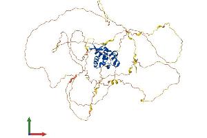 Protein Structure (PS) image for Forkhead Box N1 (FOXN1) (AA 1-648) protein (His tag) (ABIN7553958)