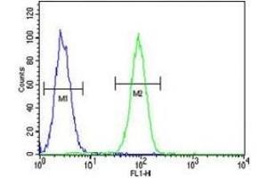 Flow Cytometry (FACS) image for anti-Fascin 3 (FSCN3) (AA 1-30) antibody (ABIN3028651)