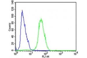 Flow Cytometry (FACS) image for anti-Cyclin-Dependent Kinase 5 (CDK5) (AA 225-260) antibody (ABIN3028603)