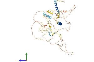 Protein Structure (PS) image for Shugoshin 1 (SGOL1) (AA 1-561) protein (His tag) (ABIN7555476)