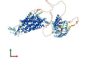 Protein Structure (PS) image for Solute Carrier Family 12 (Potassium-Chloride Transporter) Member 6 (SLC12A6) (AA 1-1150) protein (His tag) (ABIN7564864)