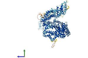 Protein Structure (PS) image for Non-SMC Condensin II Complex, Subunit G2 (NCAPG2) (AA 1-1143) protein (His tag) (ABIN7553523)