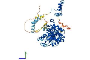 Protein Structure (PS) image for Membrane Protein, Palmitoylated 2 (MAGUK P55 Subfamily Member 2) (MPP2) (AA 1-552) protein (His tag) (ABIN7556300)