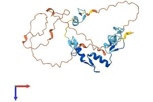 SNAI3 Protein (AA 1-292) (His tag)