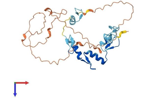 SNAI3 Protein (AA 1-292) (His tag)
