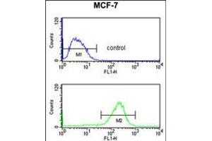 Flow cytometry analysis of MCF-7 cells (bottom histogram) compared to a negative control cell (top histogram). (NIP7 抗体  (C-Term))