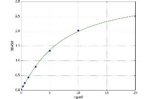 A typical standard curve (SULT1E1 ELISA 试剂盒)