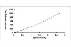 Typical standard curve (Cathepsin K ELISA 试剂盒)