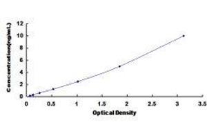 Fms-Related tyrosine Kinase 1 (VEGFR1) (FLT1) ELISA Kit