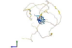Protein Structure (PS) image for RNA Binding Motif Protein, X-Linked (RBMX) (AA 1-391) protein (His tag) (ABIN7565225)