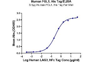 Immobilized Human FGL1, His Tag at 1 μg/mL (100 μL/well) on the plate. (FGL1 Protein (AA 64-305) (His-Avi Tag))