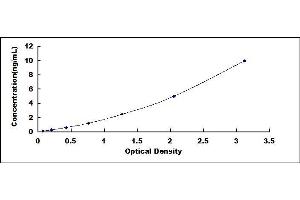 Typical standard curve (TOP2B ELISA 试剂盒)